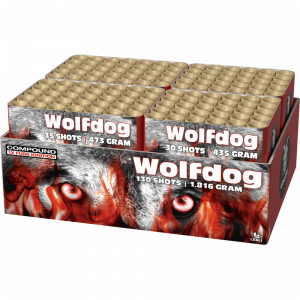 Lesli Wolfdog FeuerwerksverkaufKoethen Lesli Wolfdog