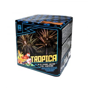 Argento Tropica FeuerwerksverkaufKoethen Argento Tropica